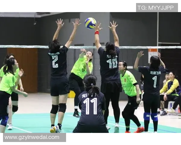 权威发布：2023年排球团队协作实力排行榜全面解析与深度解读